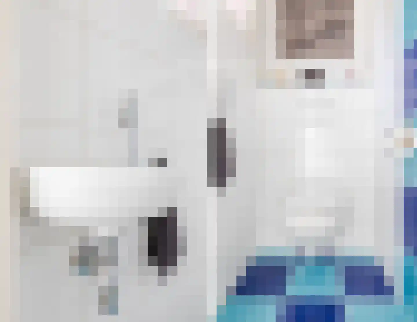 Hoogemierdseweg 33 Lage Mierde thumbnail 27