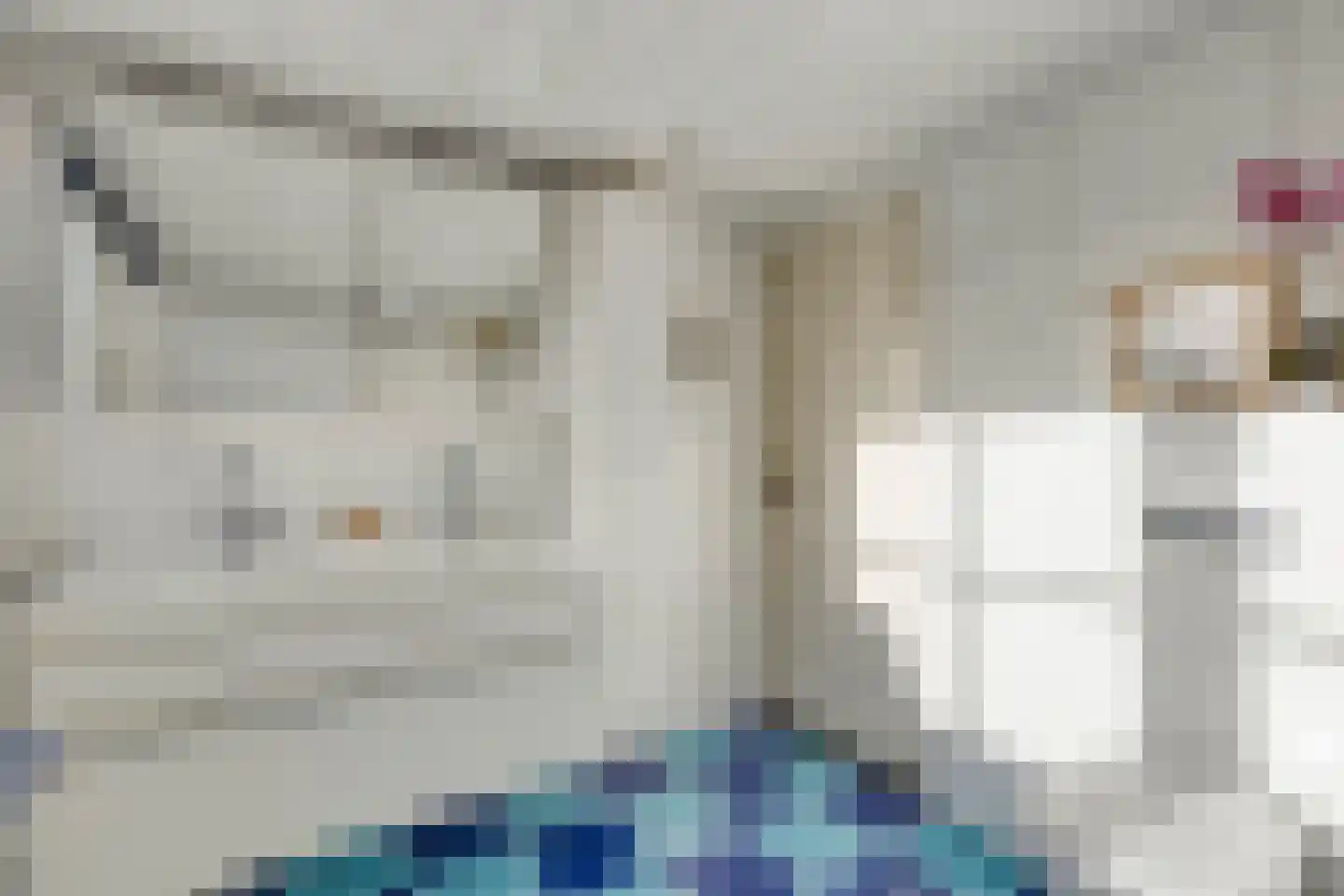 Hoogemierdseweg 33 Lage Mierde thumbnail 28