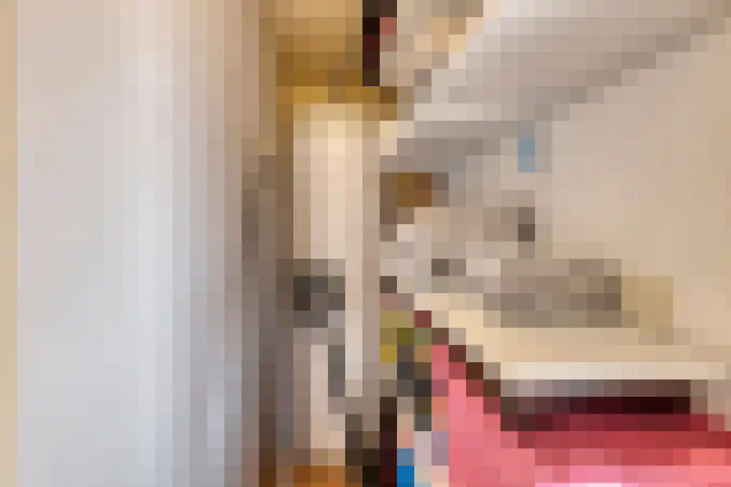 Hoogemierdseweg 33 Lage Mierde thumbnail 29