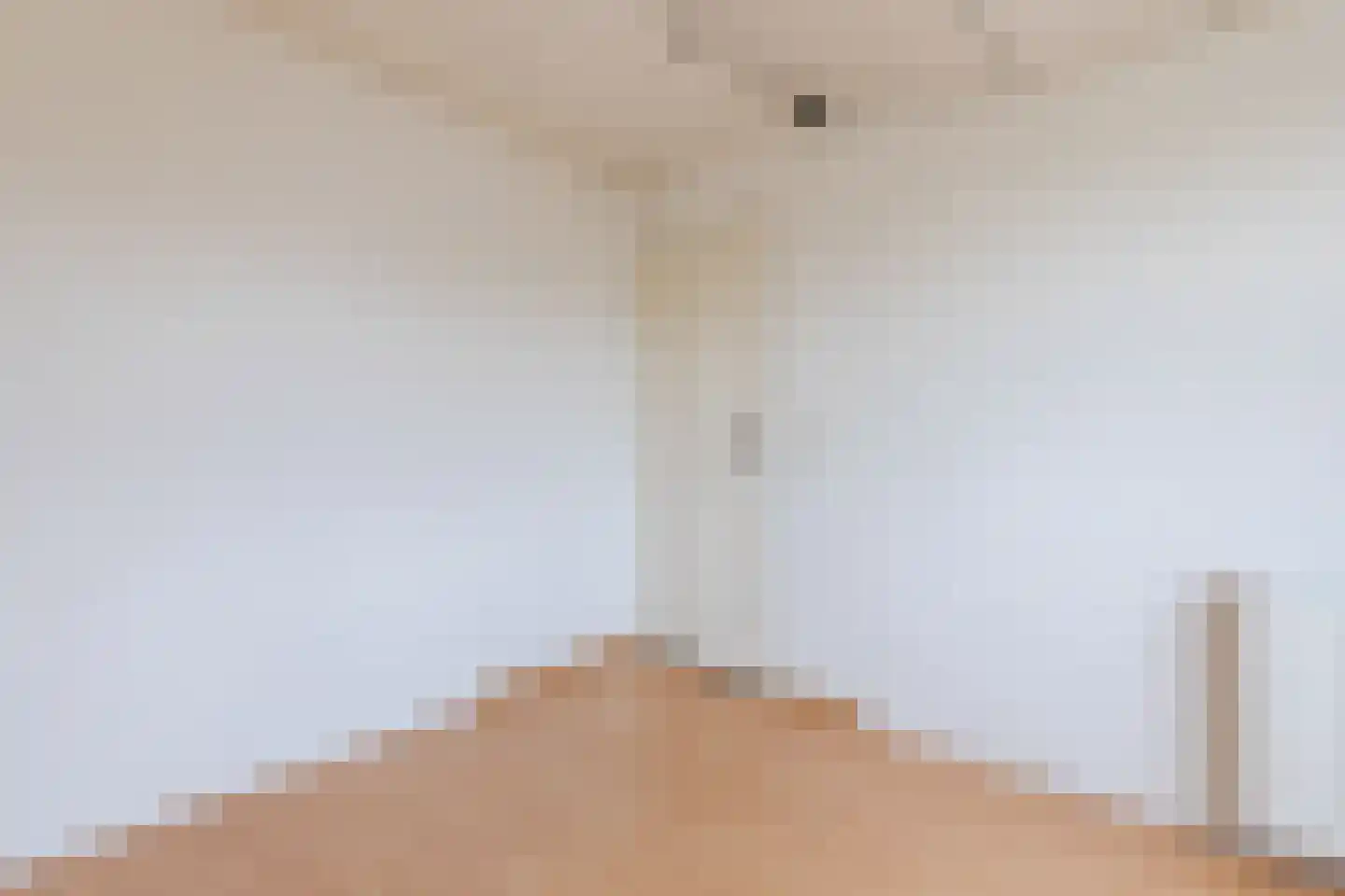 Hoogemierdseweg 33 Lage Mierde thumbnail 34