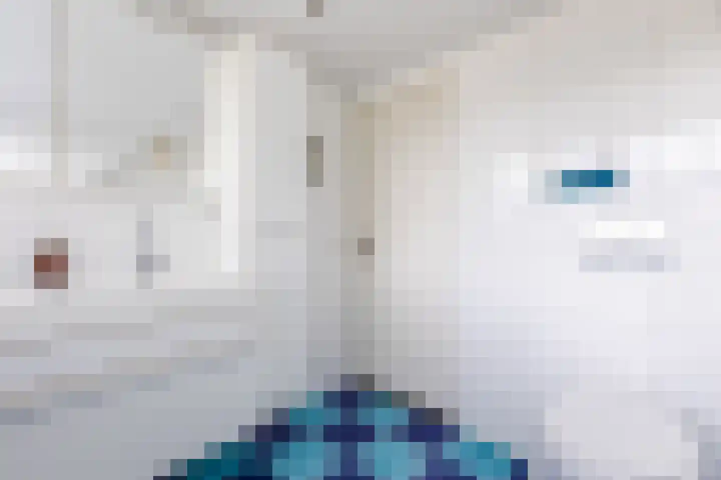 Hoogemierdseweg 33 Lage Mierde thumbnail 36