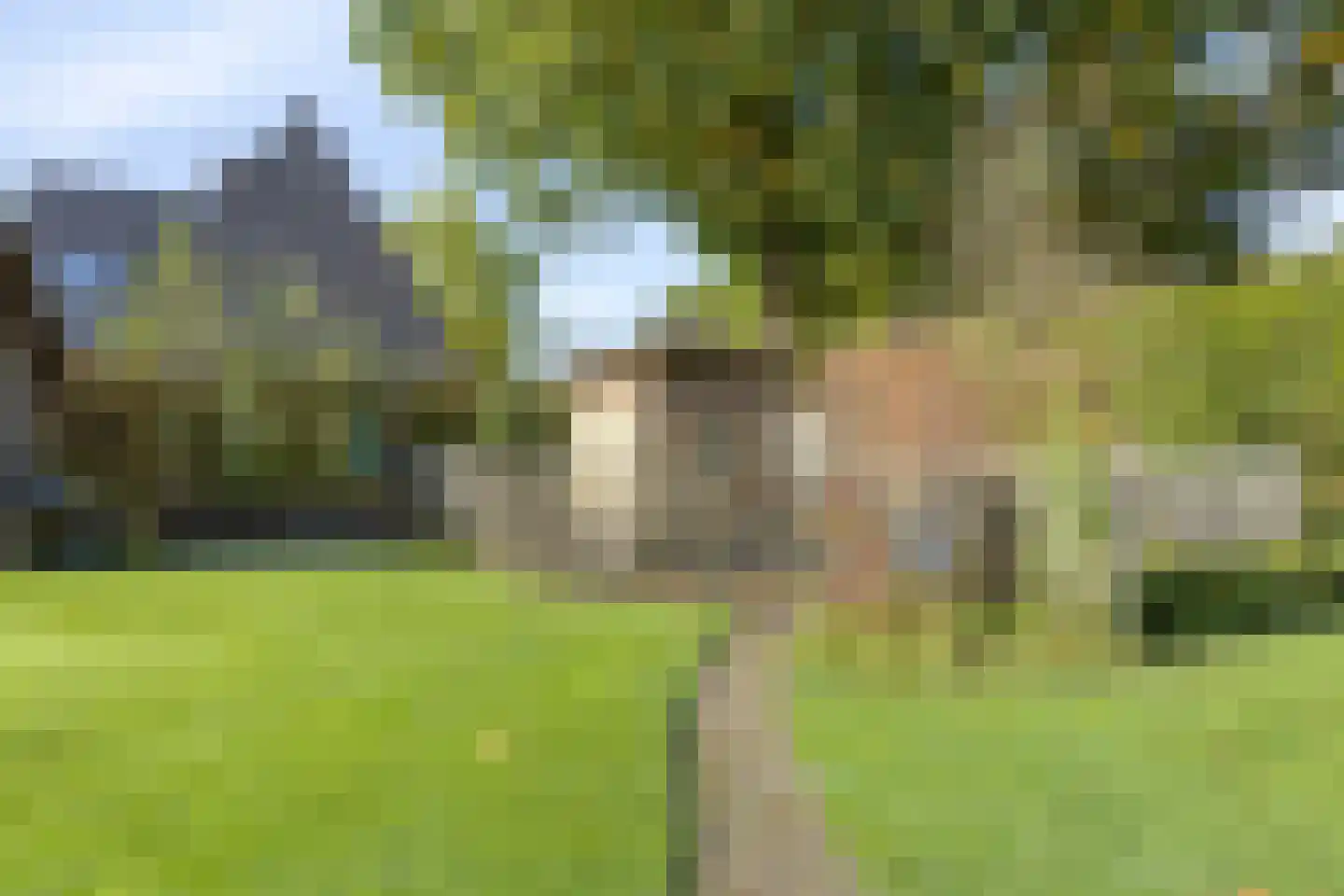 Hoogemierdseweg 33 Lage Mierde thumbnail 39