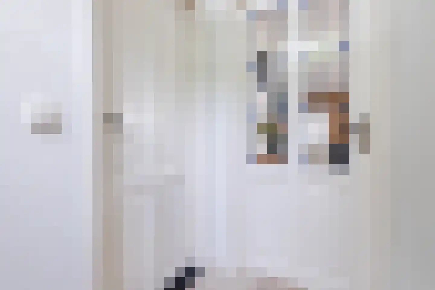Hoogemierdseweg 33 Lage Mierde thumbnail 4