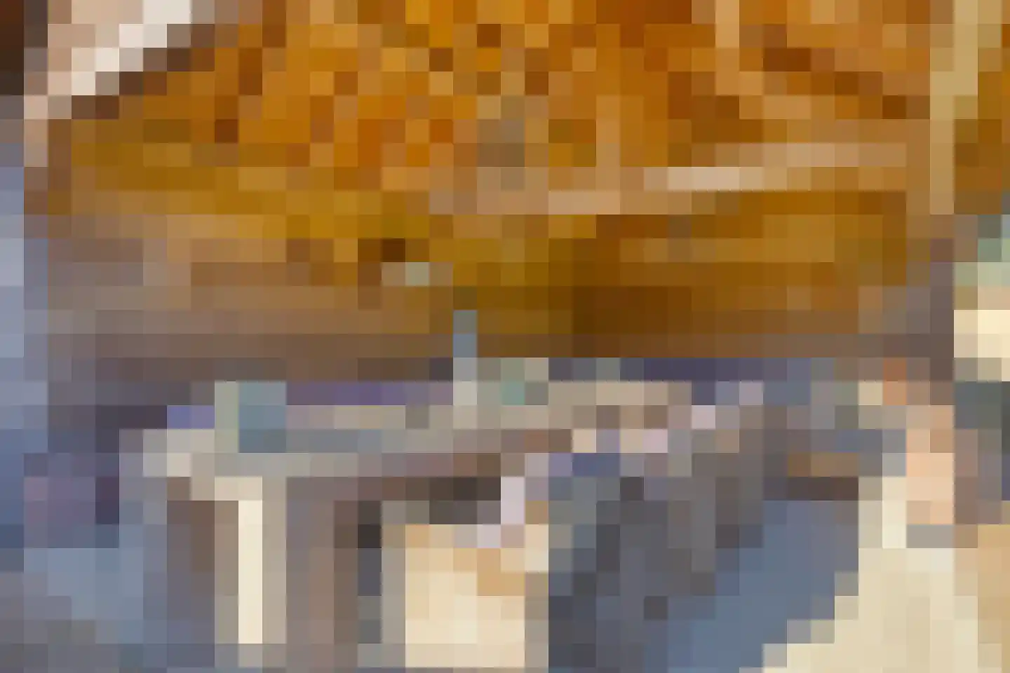 Hoogemierdseweg 33 Lage Mierde thumbnail 40