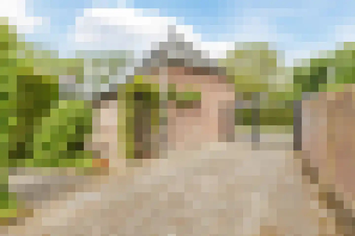 Hoogemierdseweg 33 Lage Mierde thumbnail 41