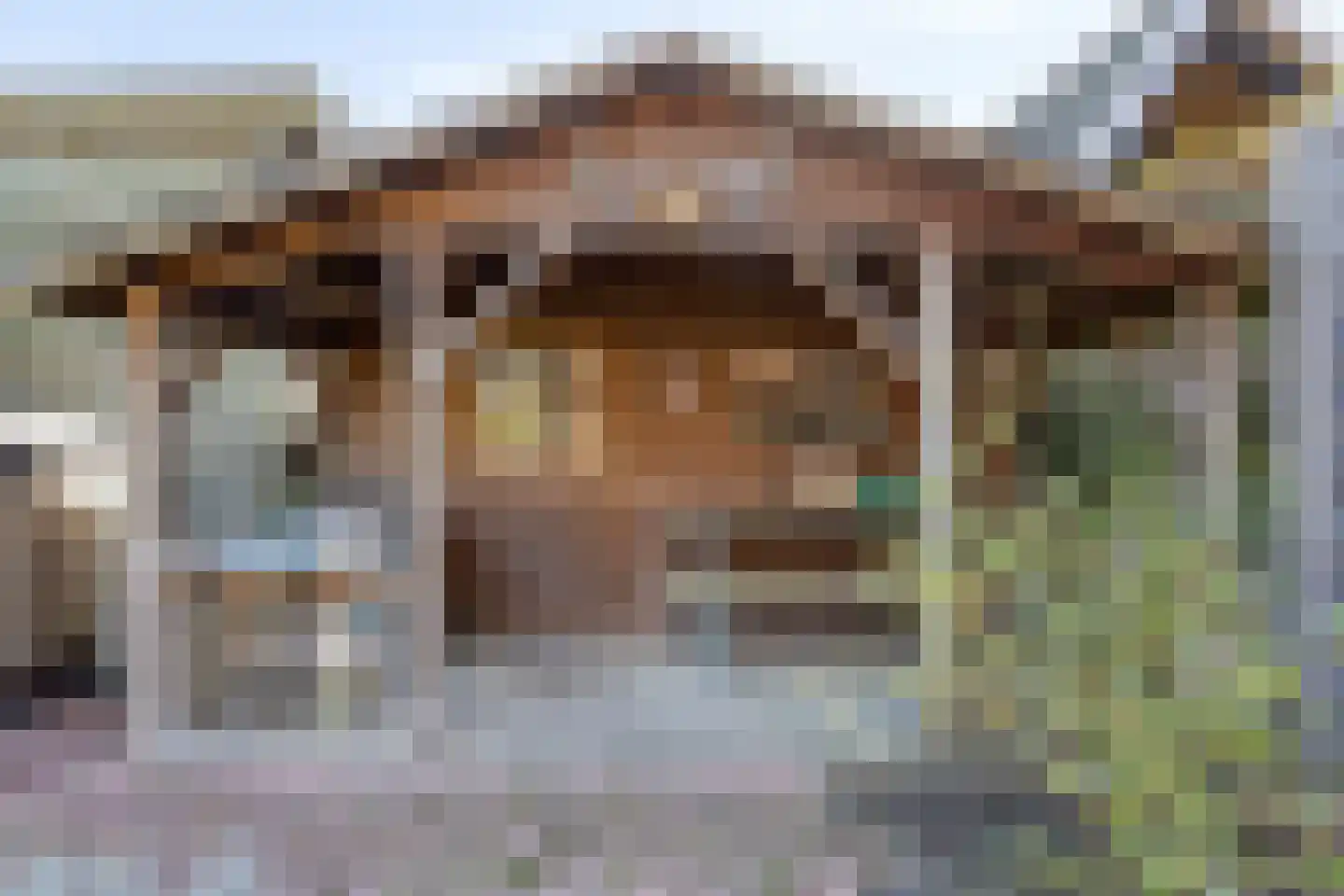Hoogemierdseweg 33 Lage Mierde thumbnail 42