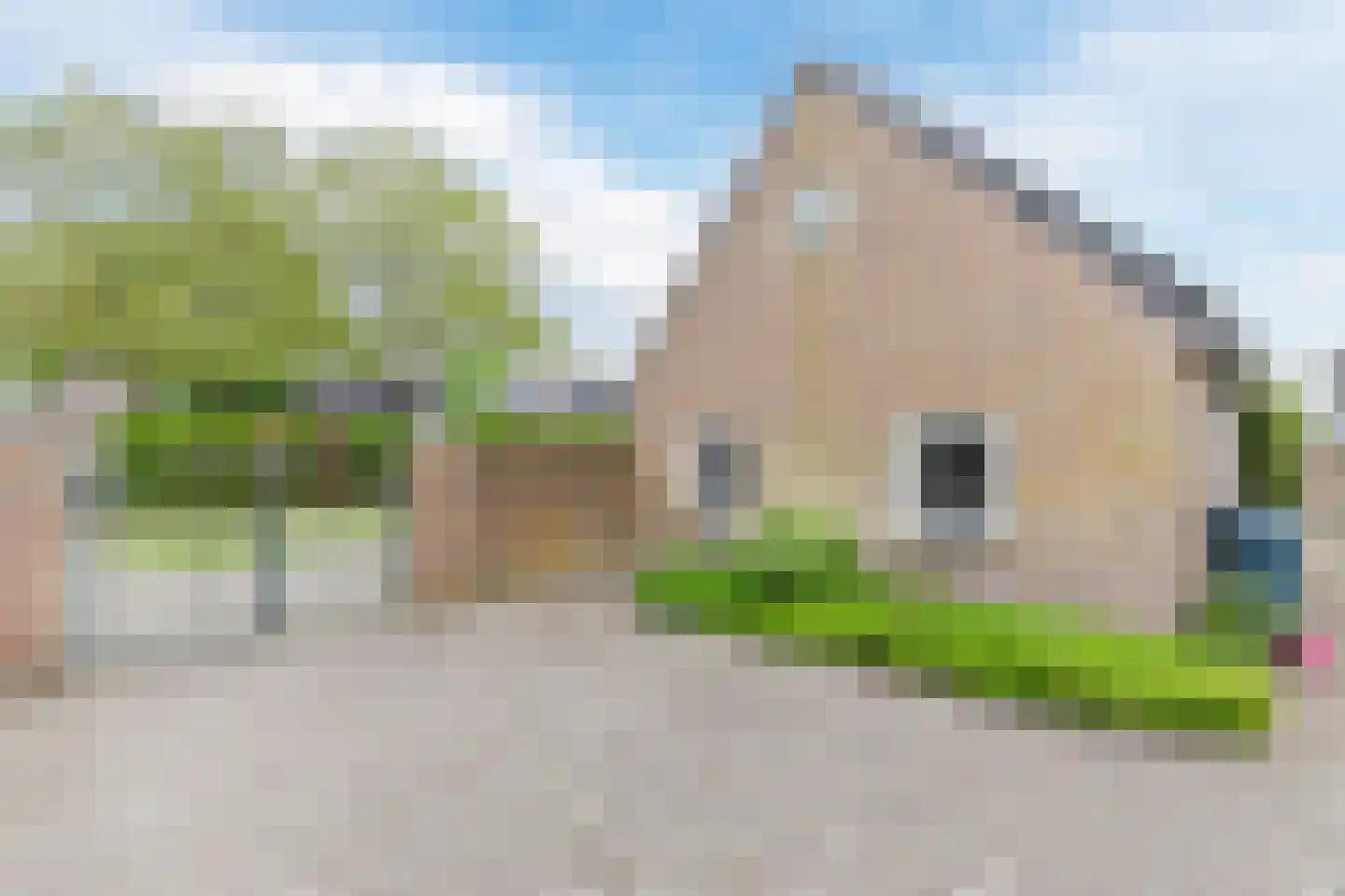 Hoogemierdseweg 33 Lage Mierde thumbnail 42