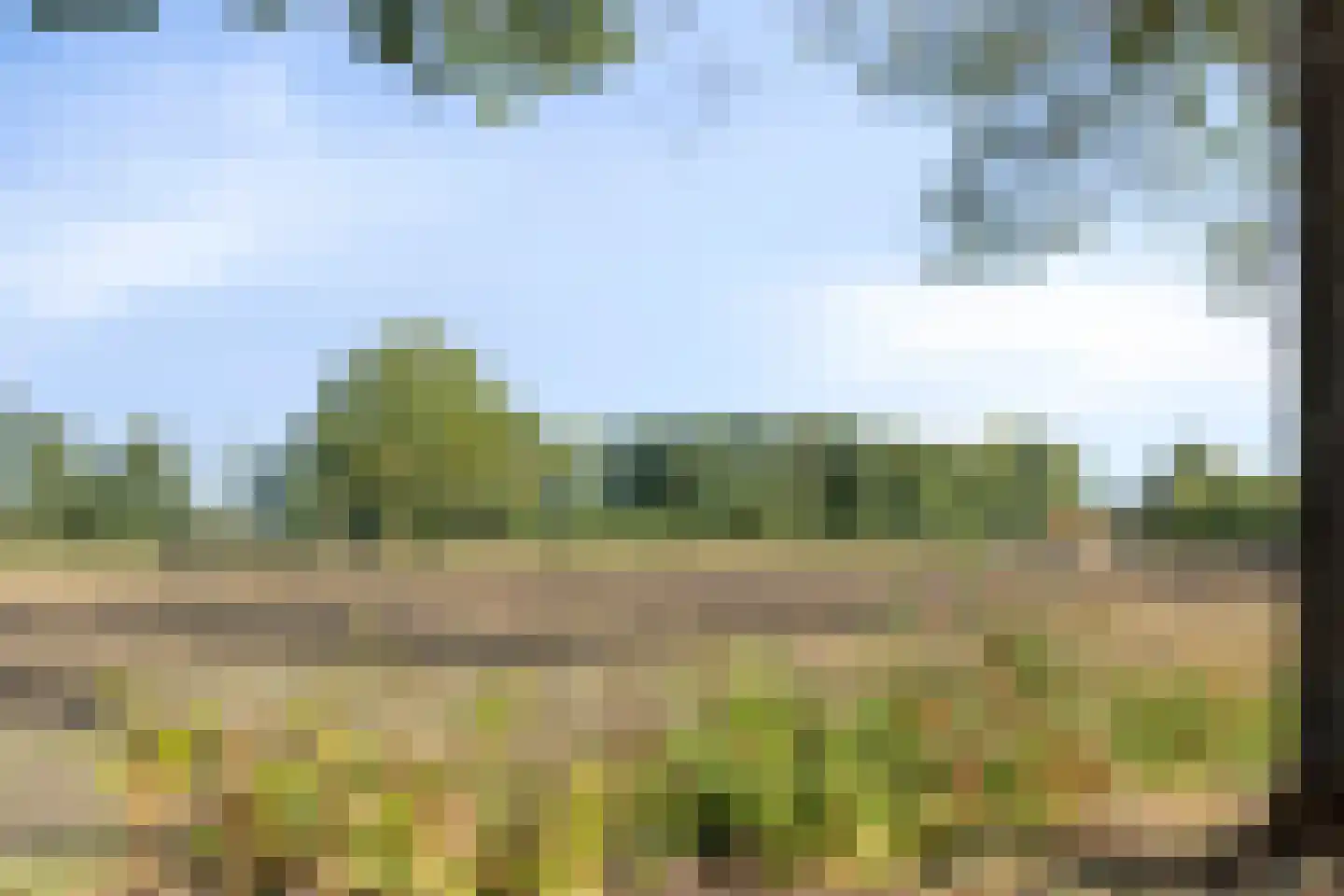 Hoogemierdseweg 33 Lage Mierde thumbnail 43