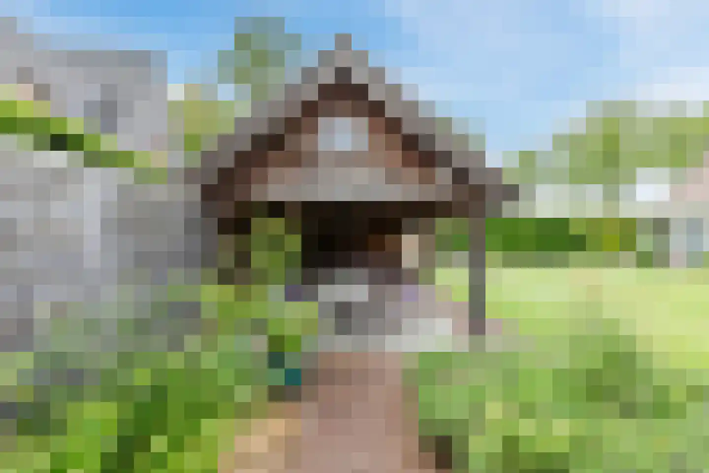 Hoogemierdseweg 33 Lage Mierde thumbnail 52