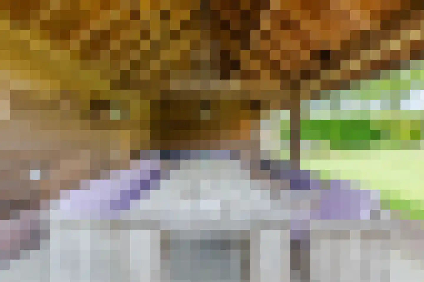 Hoogemierdseweg 33 Lage Mierde thumbnail 53