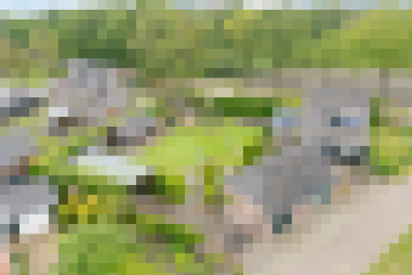Hoogemierdseweg 33 Lage Mierde thumbnail 56