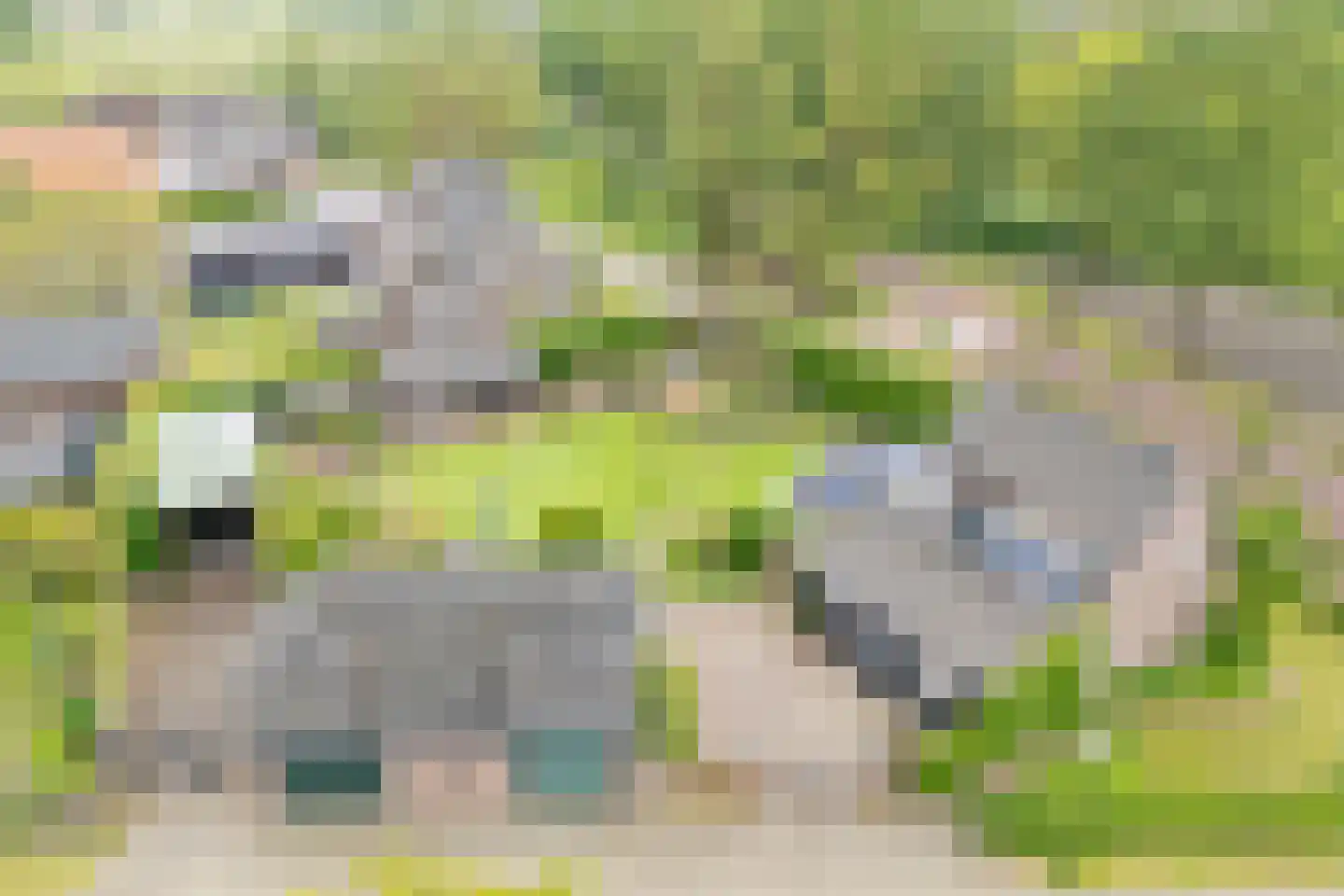 Hoogemierdseweg 33 Lage Mierde thumbnail 57