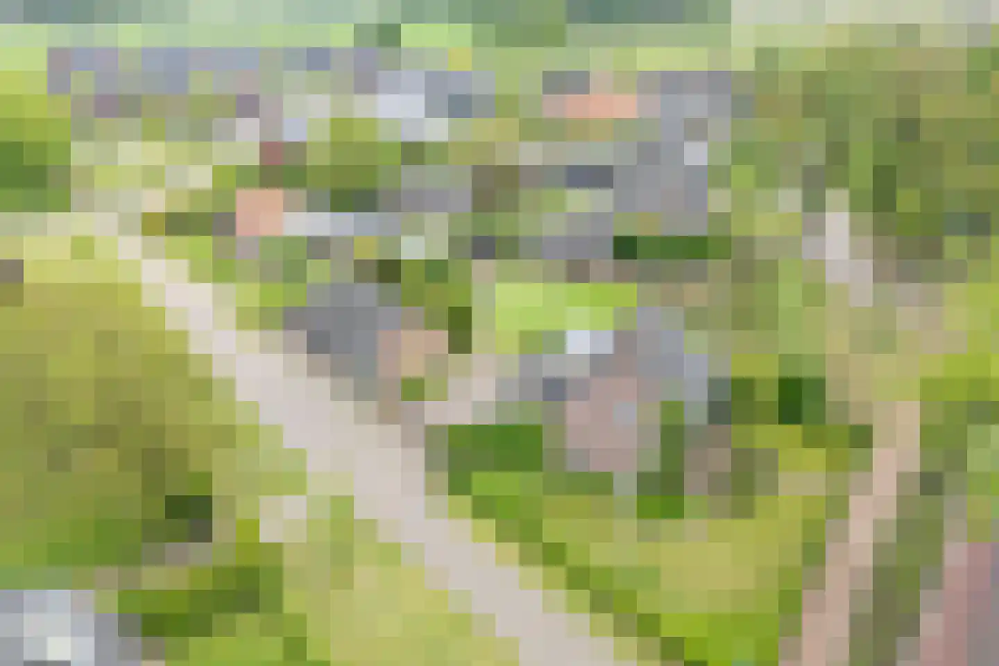 Hoogemierdseweg 33 Lage Mierde thumbnail 58