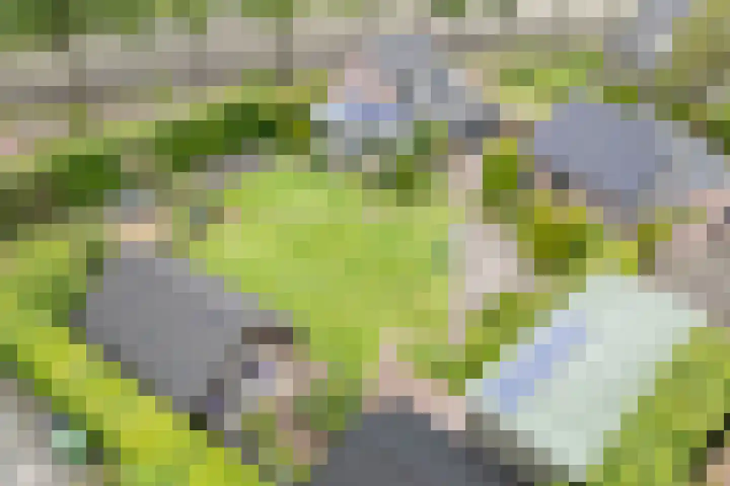 Hoogemierdseweg 33 Lage Mierde thumbnail 59