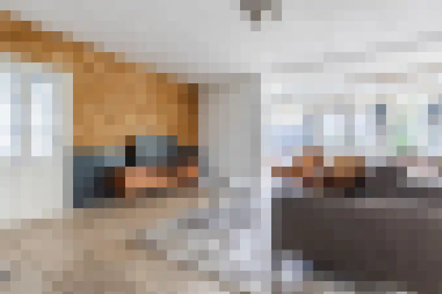 Hoogemierdseweg 33 Lage Mierde thumbnail 6