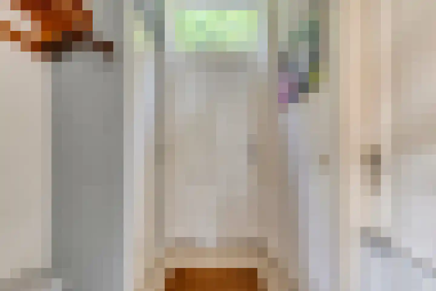 Hoogemierdseweg 33 Lage Mierde thumbnail 6