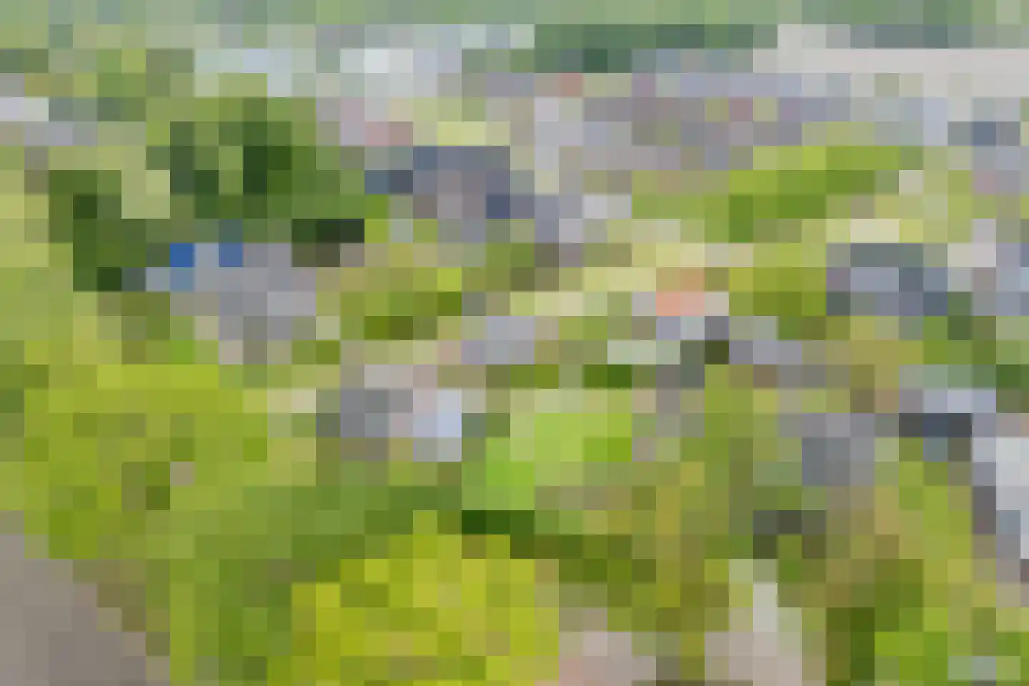 Hoogemierdseweg 33 Lage Mierde thumbnail 61