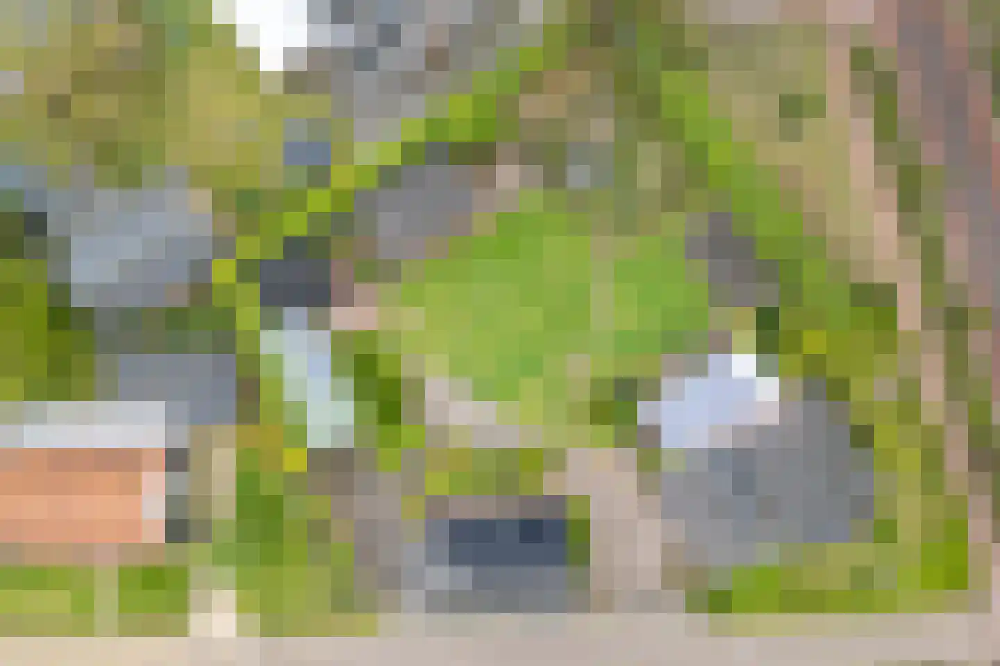 Hoogemierdseweg 33 Lage Mierde thumbnail 62