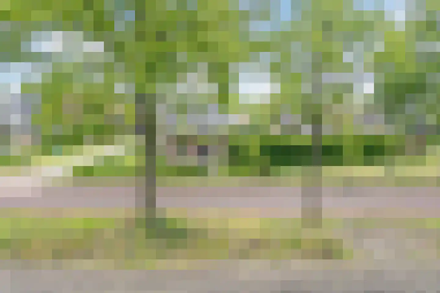 Hoogemierdseweg 33 Lage Mierde thumbnail 63