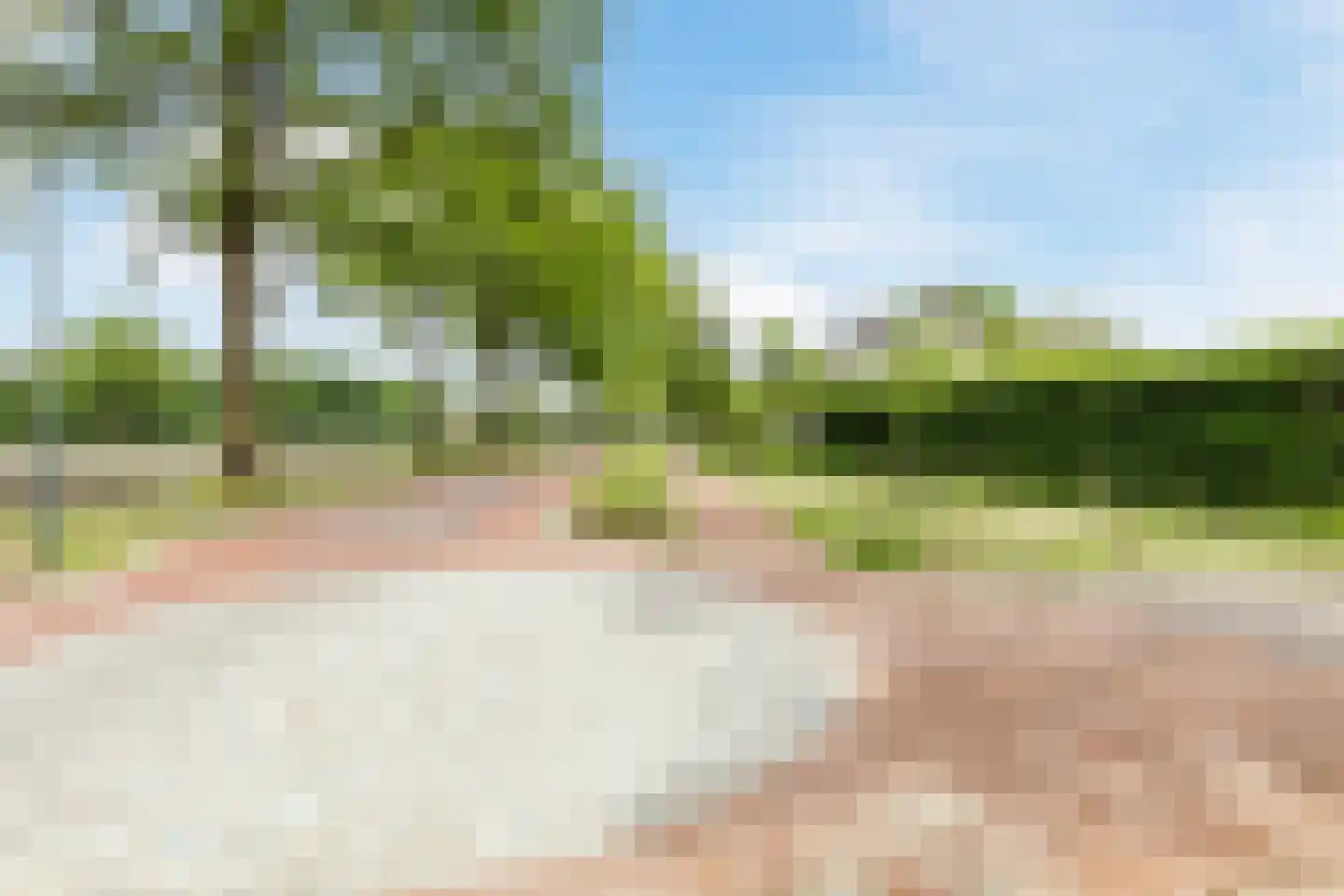 Hoogemierdseweg 33 Lage Mierde thumbnail 69