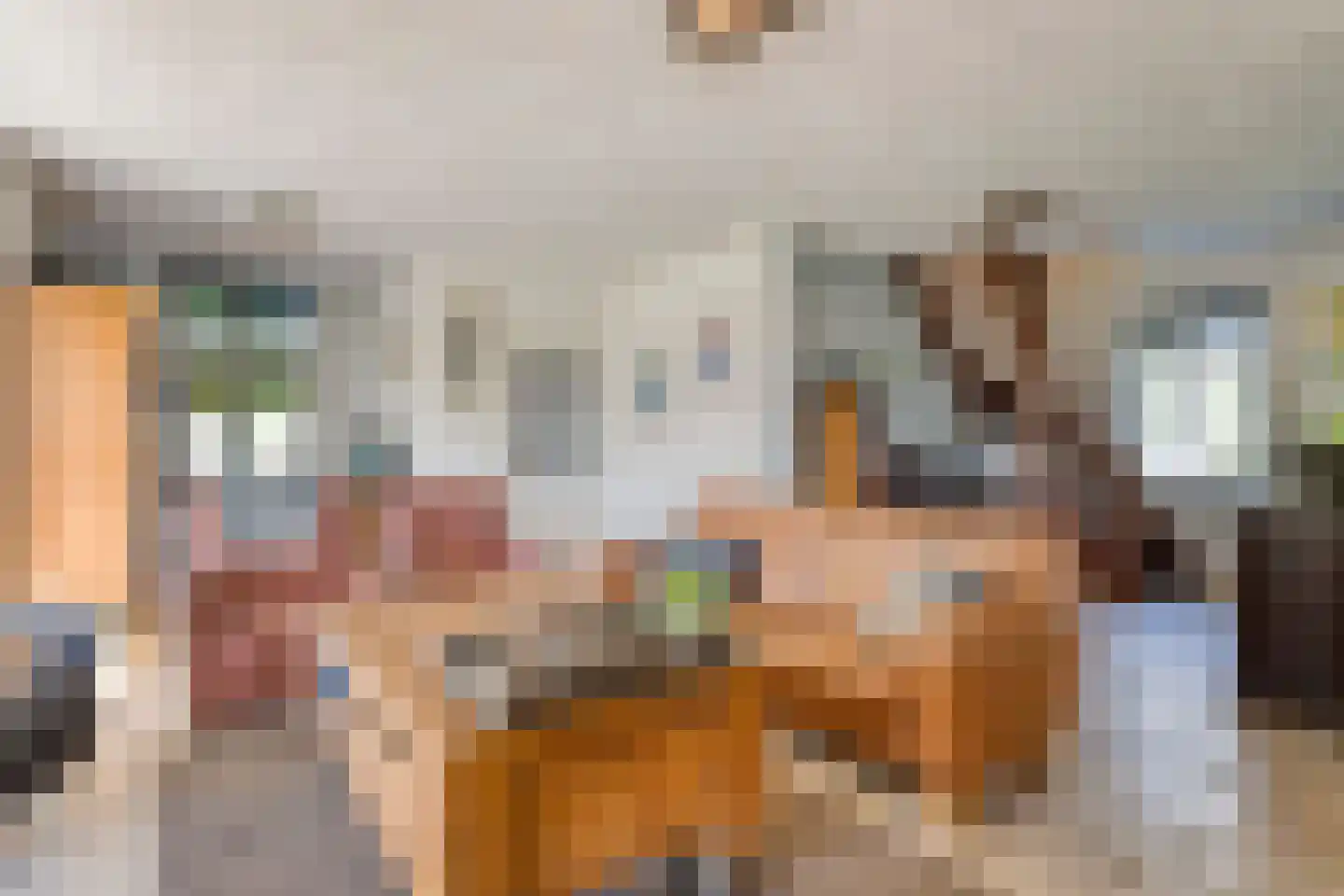 Hoogemierdseweg 33 Lage Mierde thumbnail 7
