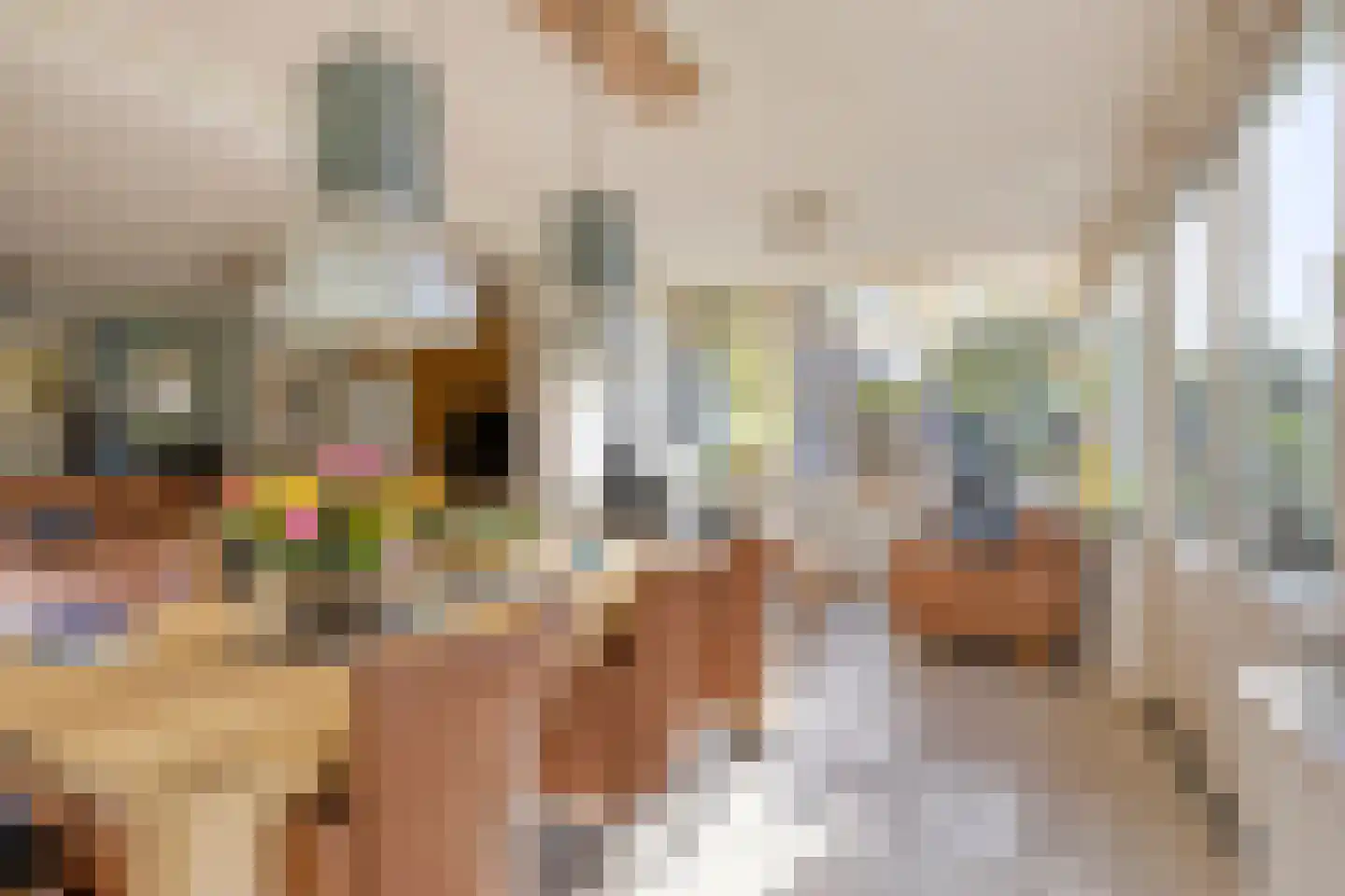 Hoogemierdseweg 33 Lage Mierde thumbnail 9
