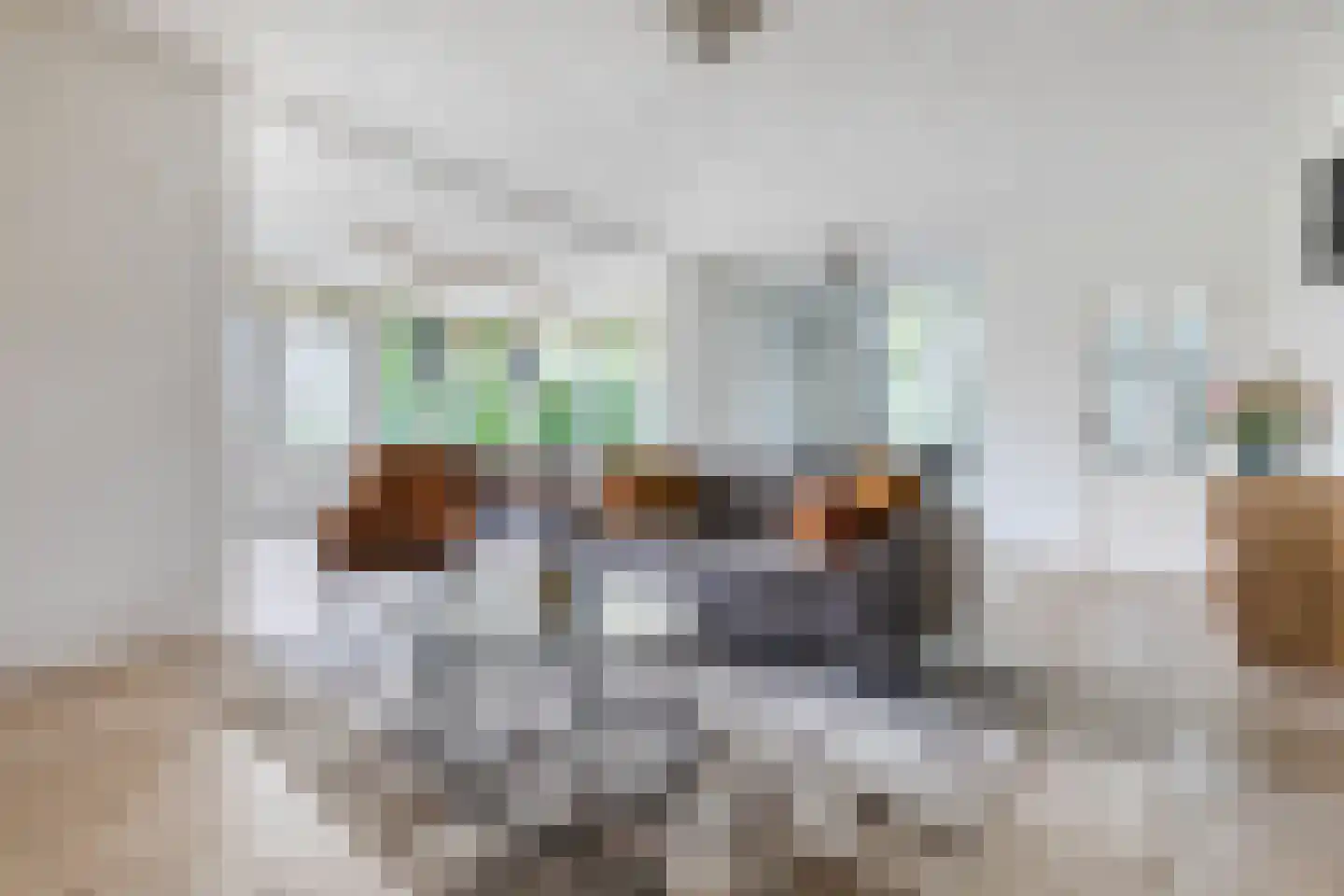Hoogemierdseweg 33 Lage Mierde thumbnail 9