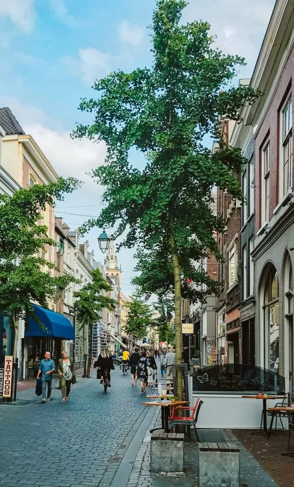 Team foto van Hoogen & Co. makelaardij