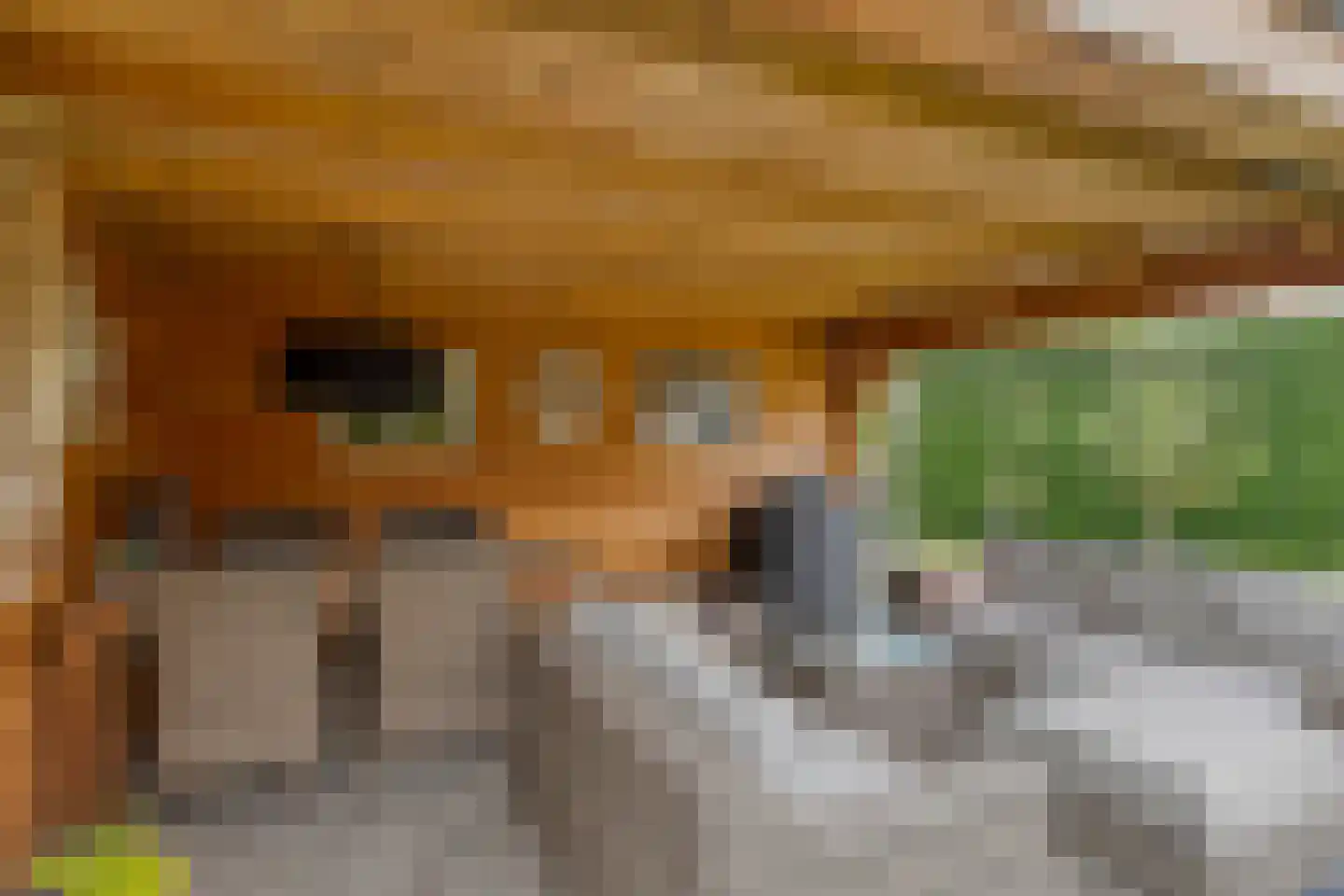 Hoogenboomlaan 48 Renesse thumbnail 13