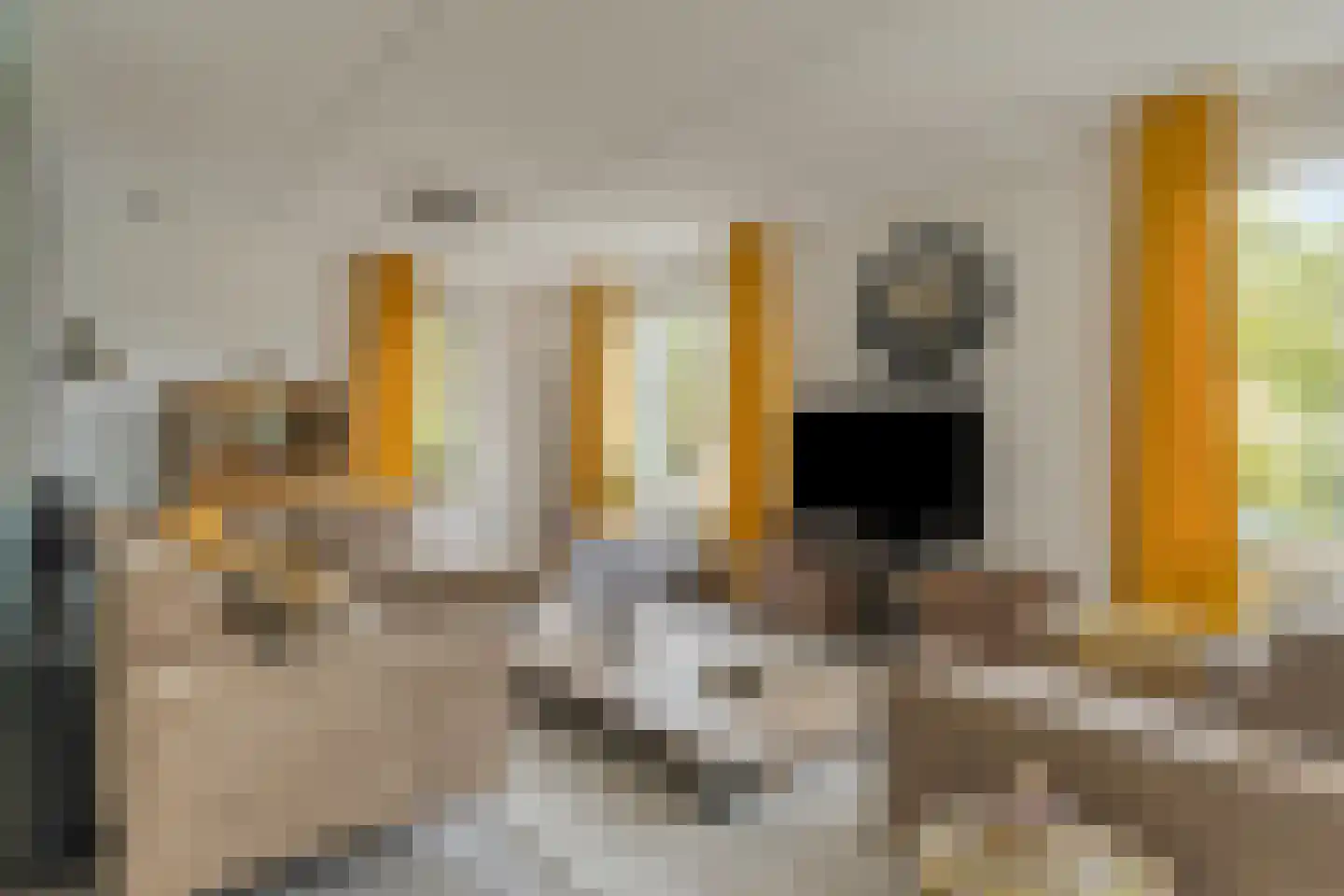 Hoogenboomlaan 48 Renesse thumbnail 15