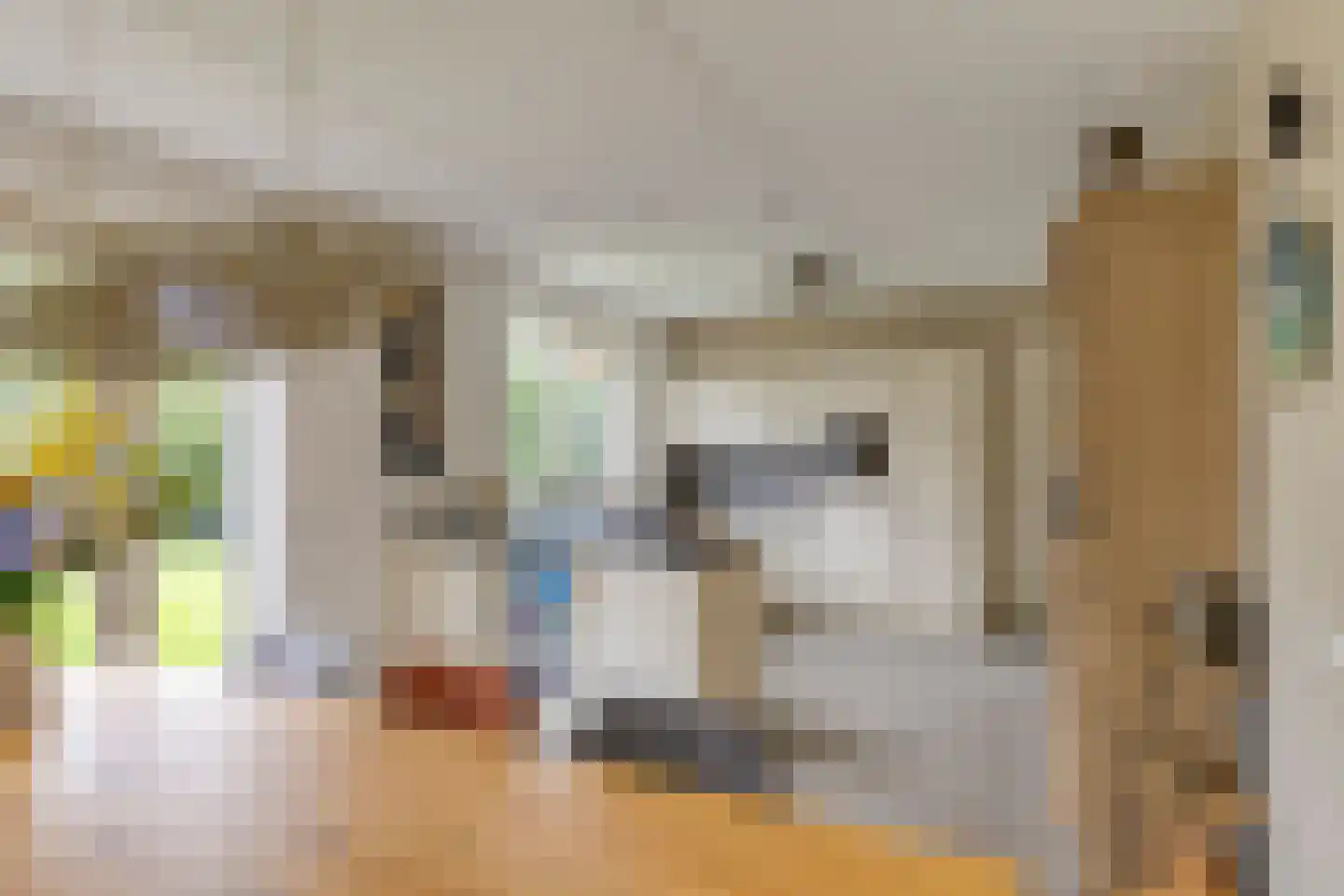Hoogenboomlaan 48 Renesse thumbnail 22
