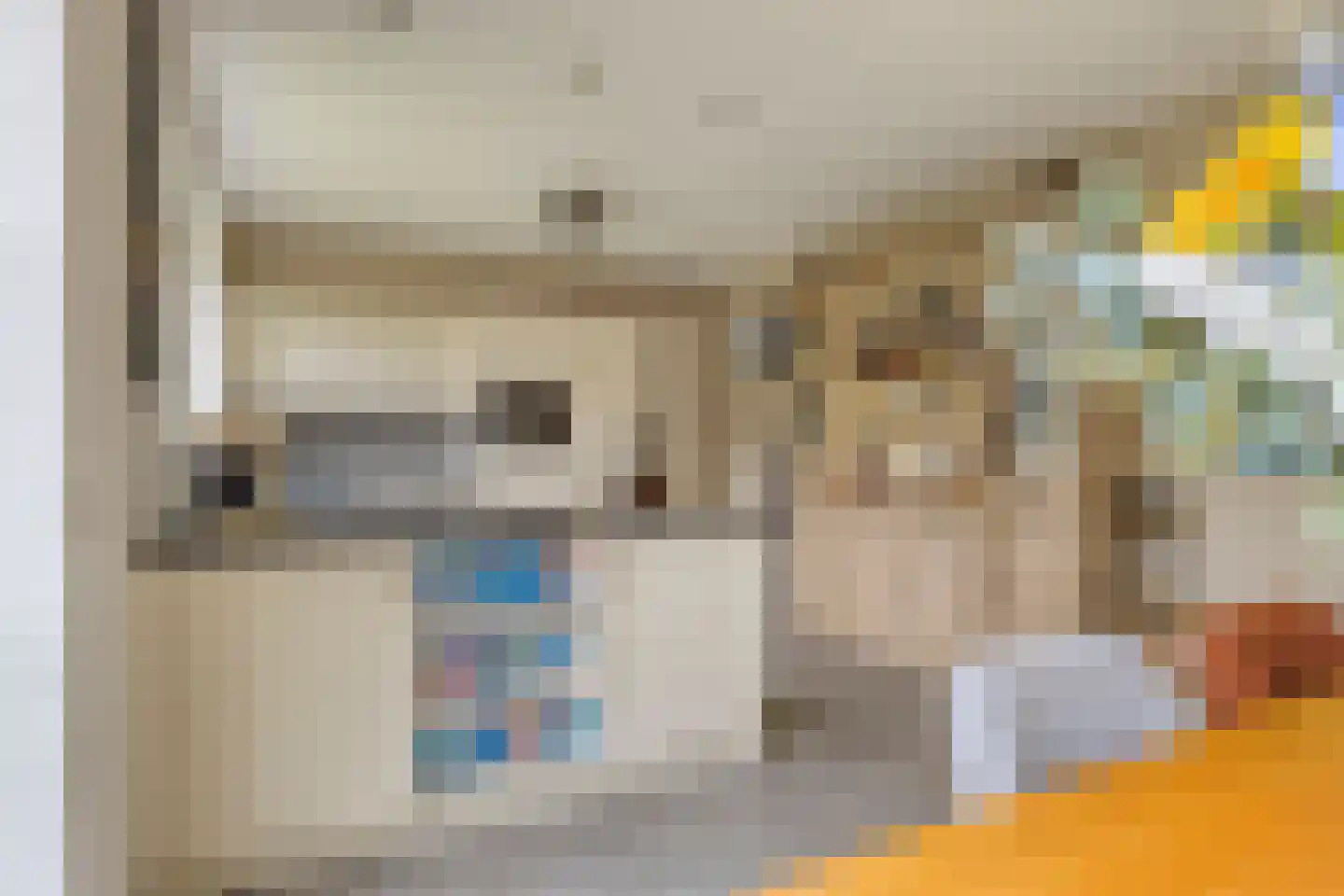Hoogenboomlaan 48 Renesse thumbnail 23