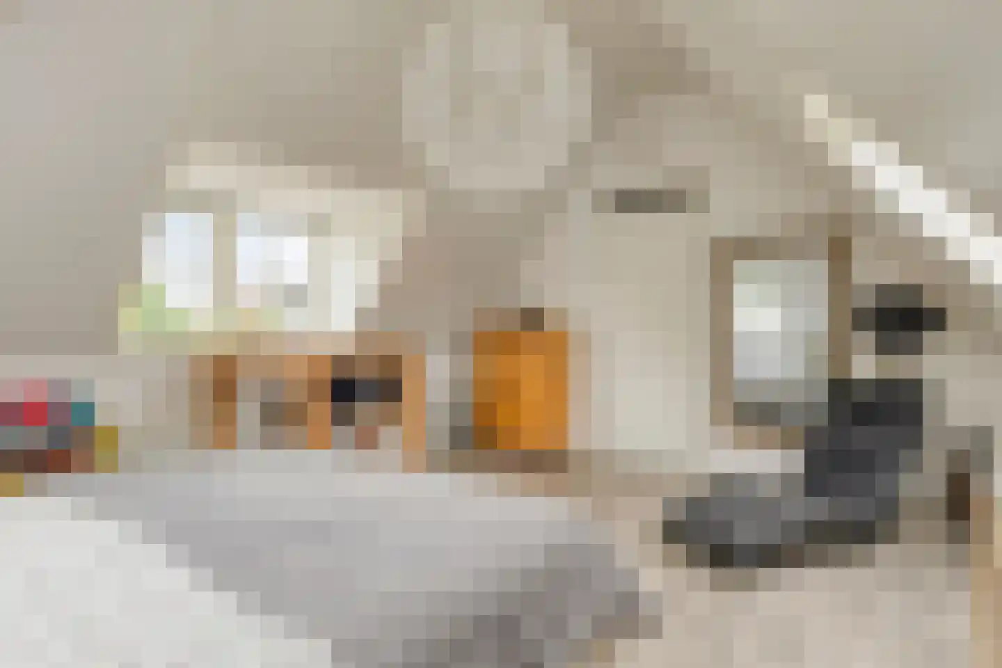 Hoogenboomlaan 48 Renesse thumbnail 34