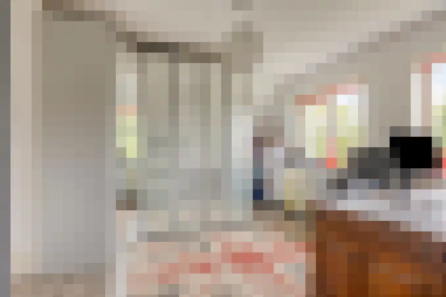 Hoogenboomlaan 48 Renesse thumbnail 36