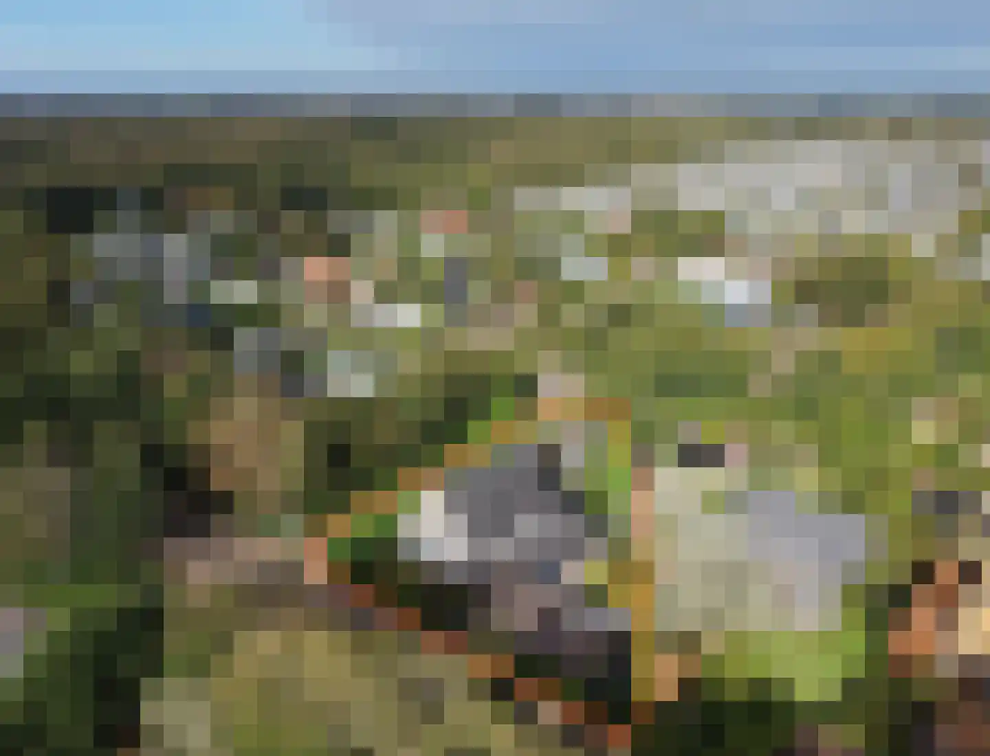 Hoogenboomlaan 48 Renesse thumbnail 4