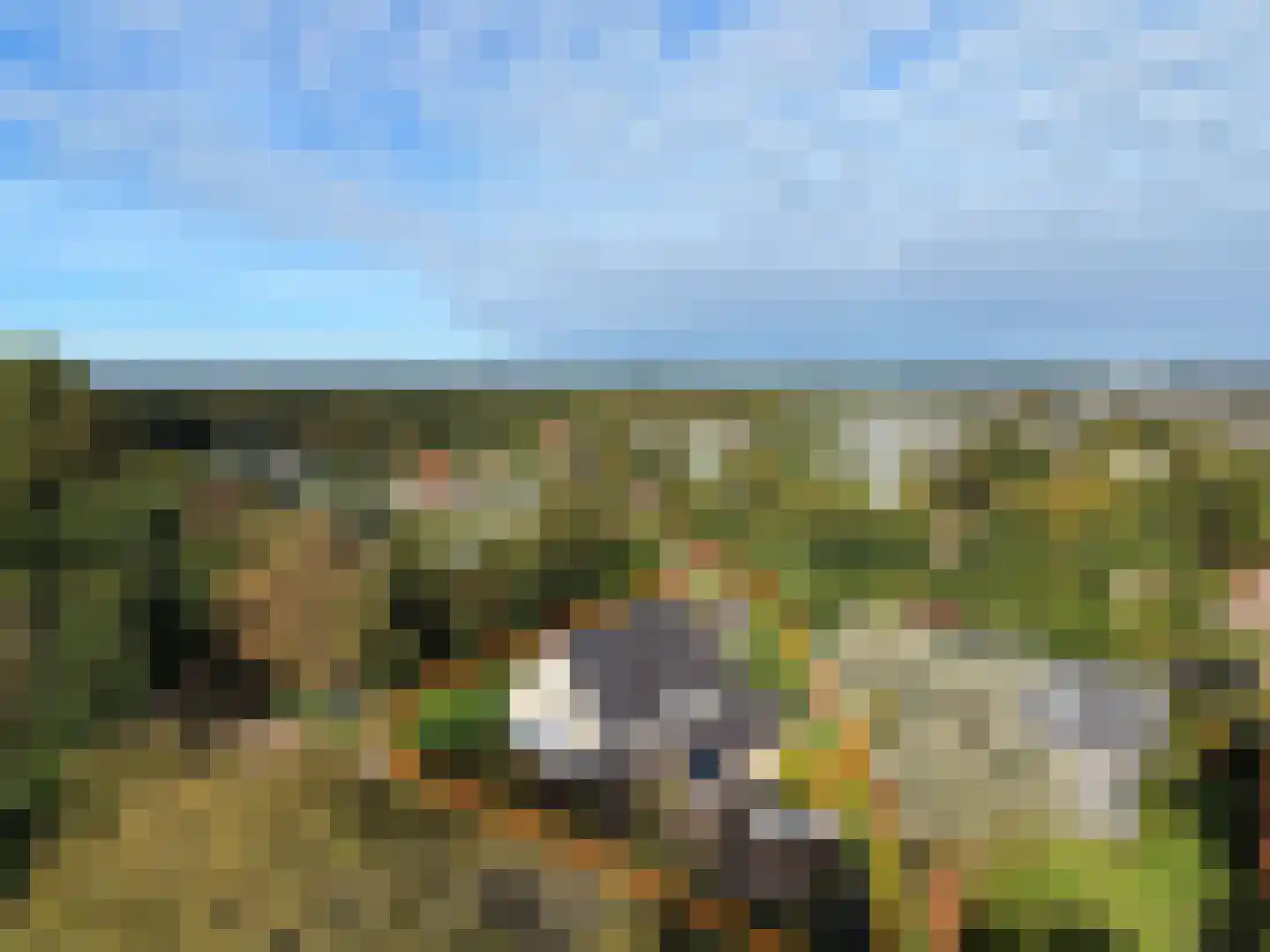 Hoogenboomlaan 48 Renesse thumbnail 41