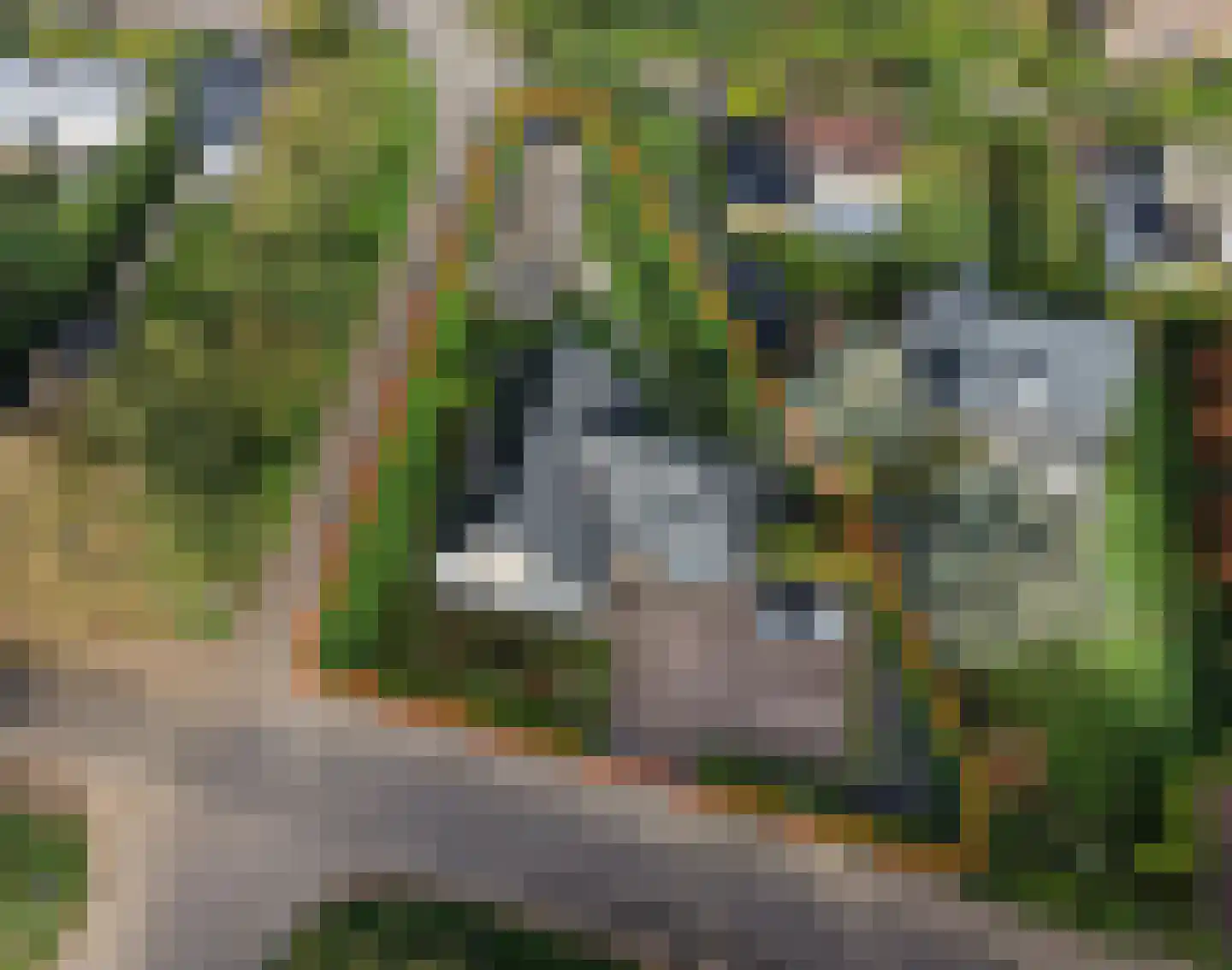 Hoogenboomlaan 48 Renesse thumbnail 42