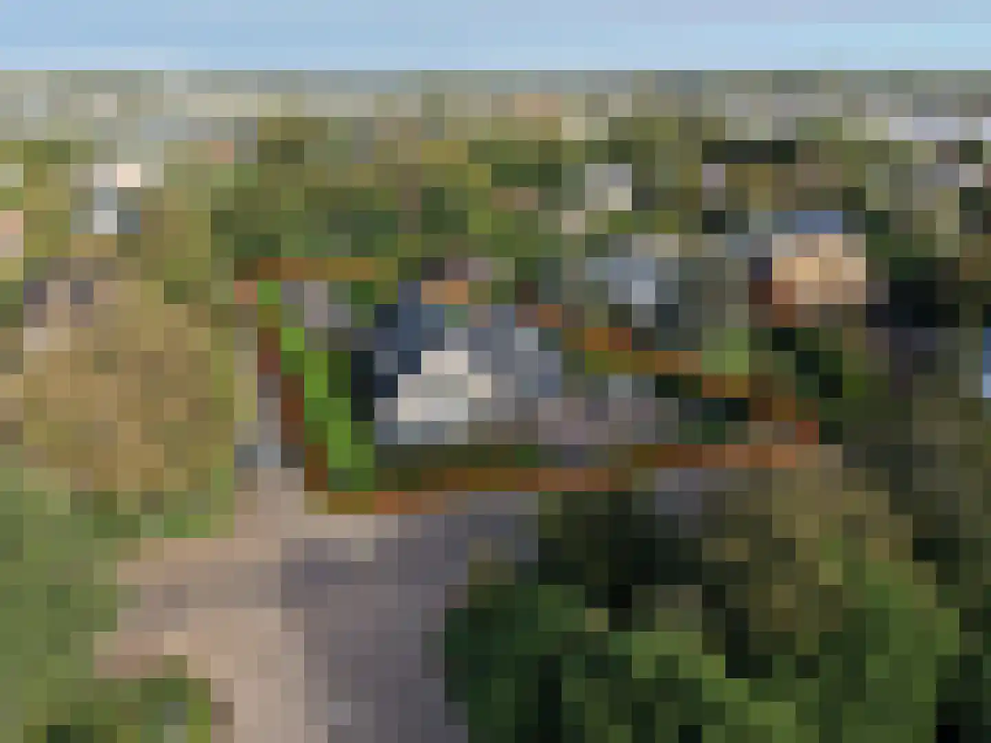 Hoogenboomlaan 48 Renesse thumbnail 5