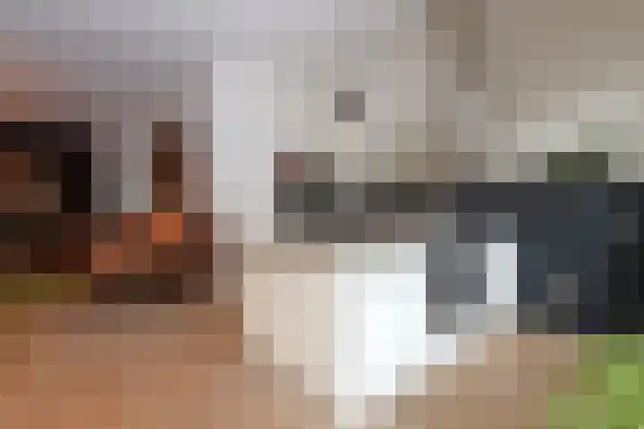 Hoogend 16 a Sneek thumbnail 12