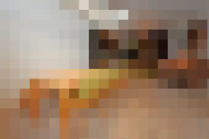 Hoogend 16 a Sneek thumbnail 13