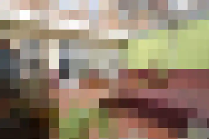 Hoogend 16 a Sneek thumbnail 15