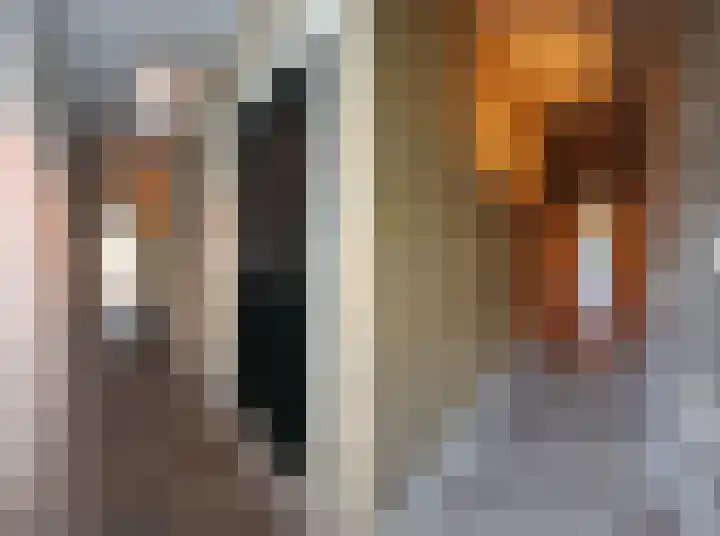Hoogend 16 a Sneek thumbnail 19