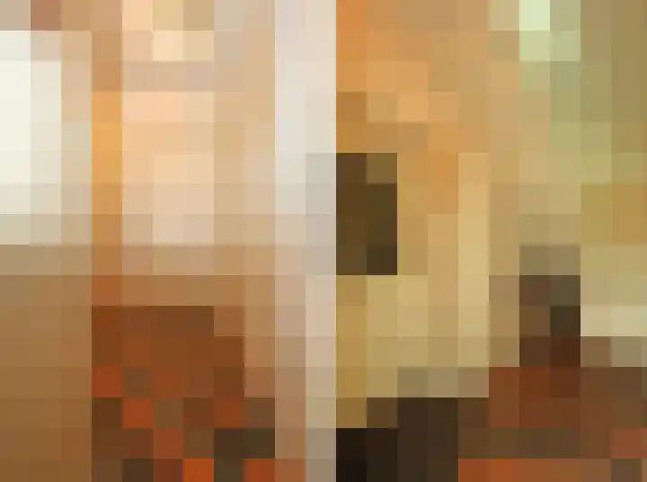 Hoogend 16 a Sneek thumbnail 20