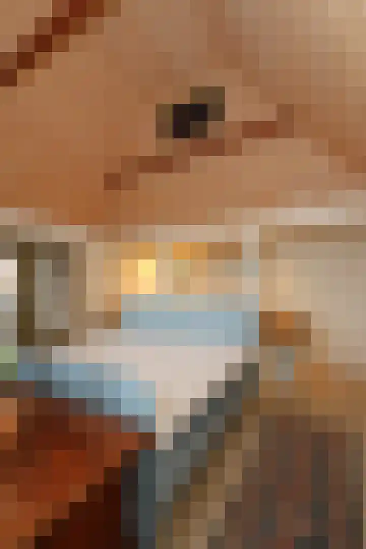 Hoogend 16 a Sneek thumbnail 23