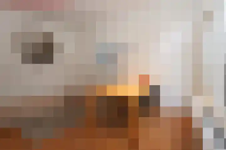 Hoogend 16 a Sneek thumbnail 44