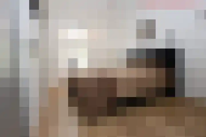 Hoogend 16 a Sneek thumbnail 46