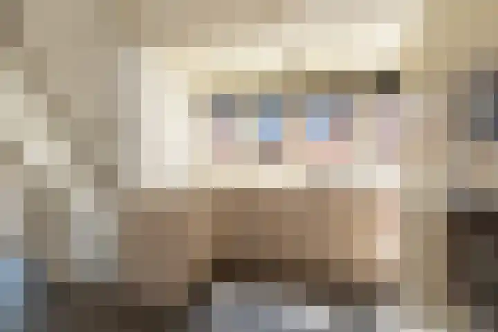 Hoogend 28 A Sneek thumbnail 11
