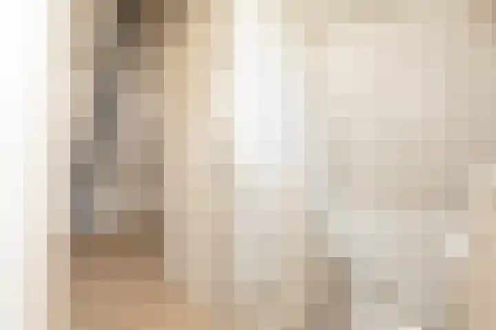 Hoogend 28 A Sneek thumbnail 21