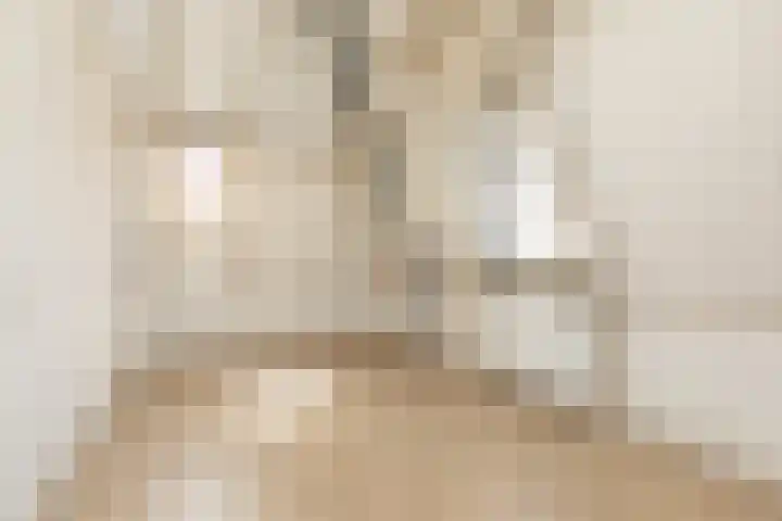 Hoogend 28 A Sneek thumbnail 22