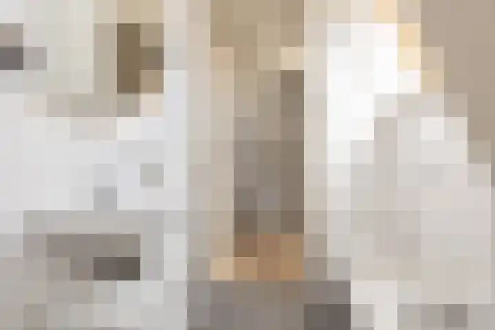 Hoogend 28 A Sneek thumbnail 26